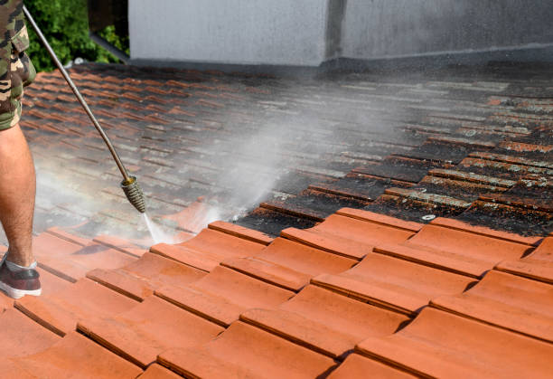 Best Pressure Washing Siding  in Niverville, NY
