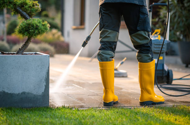 Best House Pressure Washing  in Niverville, NY